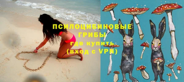 синтетический гашиш Новодвинск