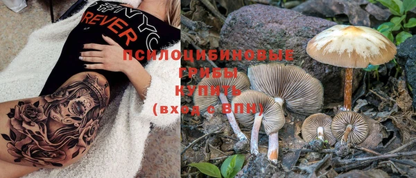 гидра Нефтегорск