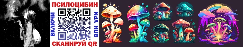 Галлюциногенные грибы GOLDEN TEACHER  Купить  Агрыз 