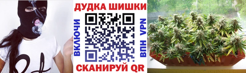 Купить закладки  Агрыз  Бошки Шишки индика 